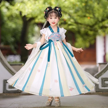Hanfu/Super Bajki sukienka w stylu Antycznym dla dziewczyn w stylu Tang, Spódnica 2022, Nowy Fotelik sukienka z Haftem Kota, Stare Sukienka z Delikatnym Rozcięciem